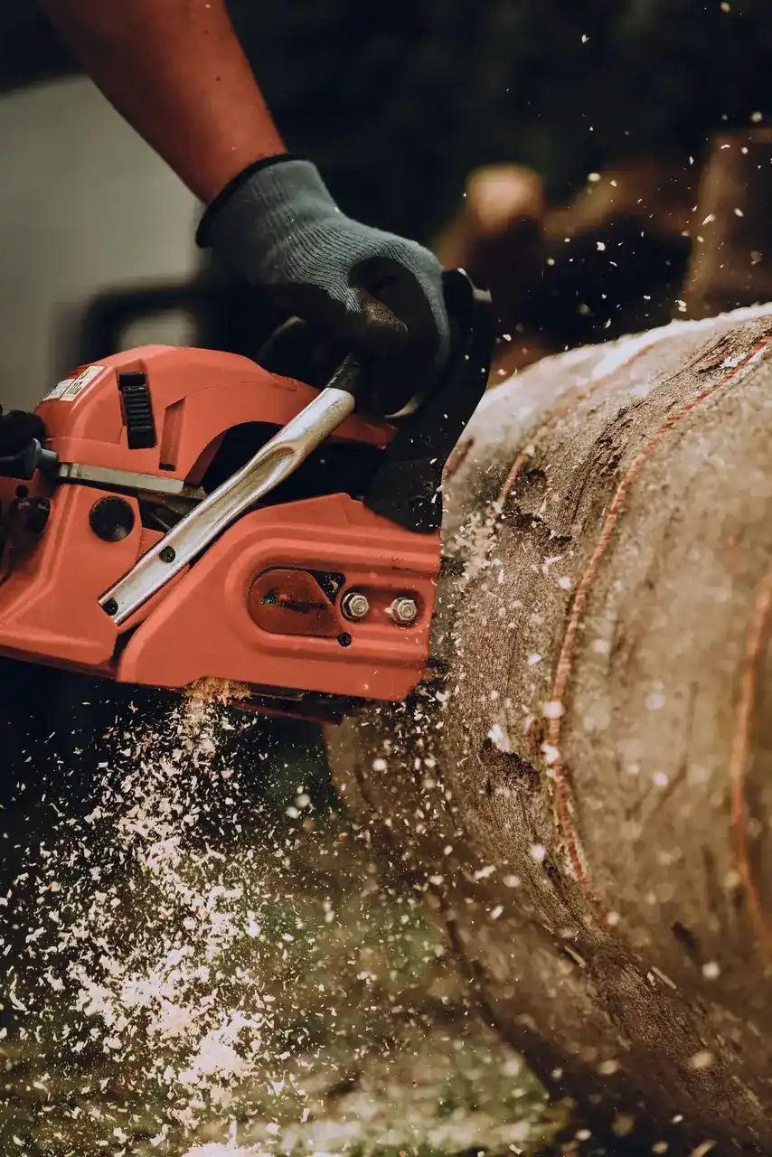 Close-up of a chainsaw biting into a log with sawdust spraying out of the cut