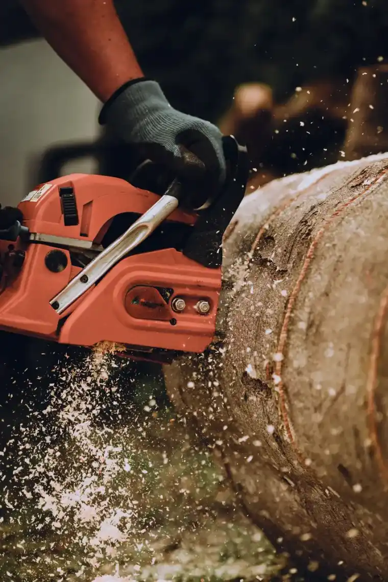 Close-up of a chainsaw biting into a log with sawdust spraying out of the cut