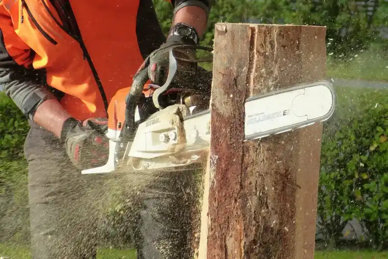 Worker in orange safety gear driving a chainsaw through a standing trunk as sawdust flies