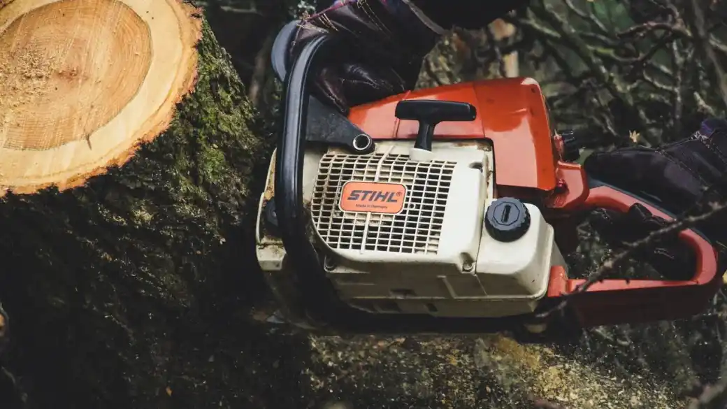 Chainsaw resting on a freshly cut trunk showing the pale exposed sawn face