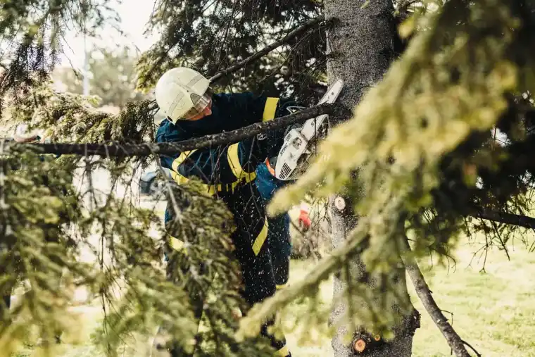 Worker in a white helmet and full climbing harness cutting limbs while tied in aloft