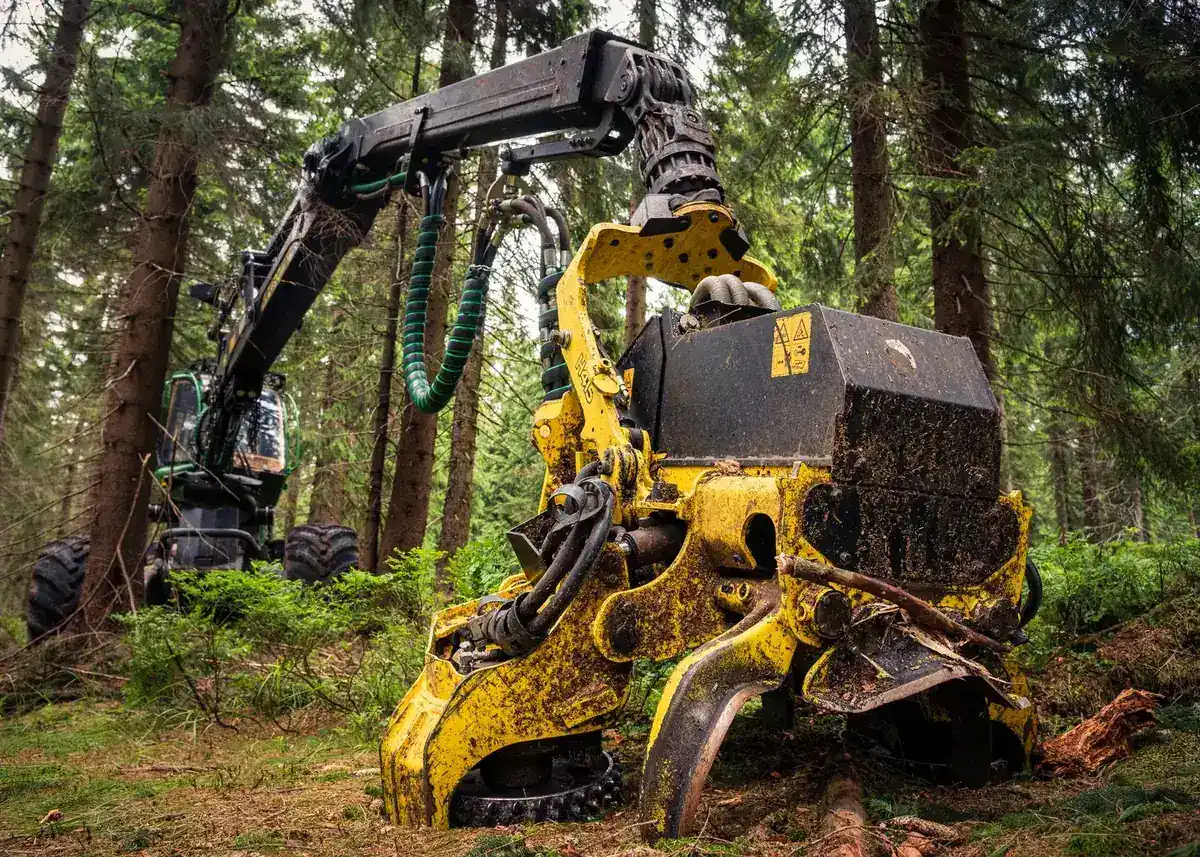 Yellow mulching head on a boom-mounted forestry machine working in standing timber