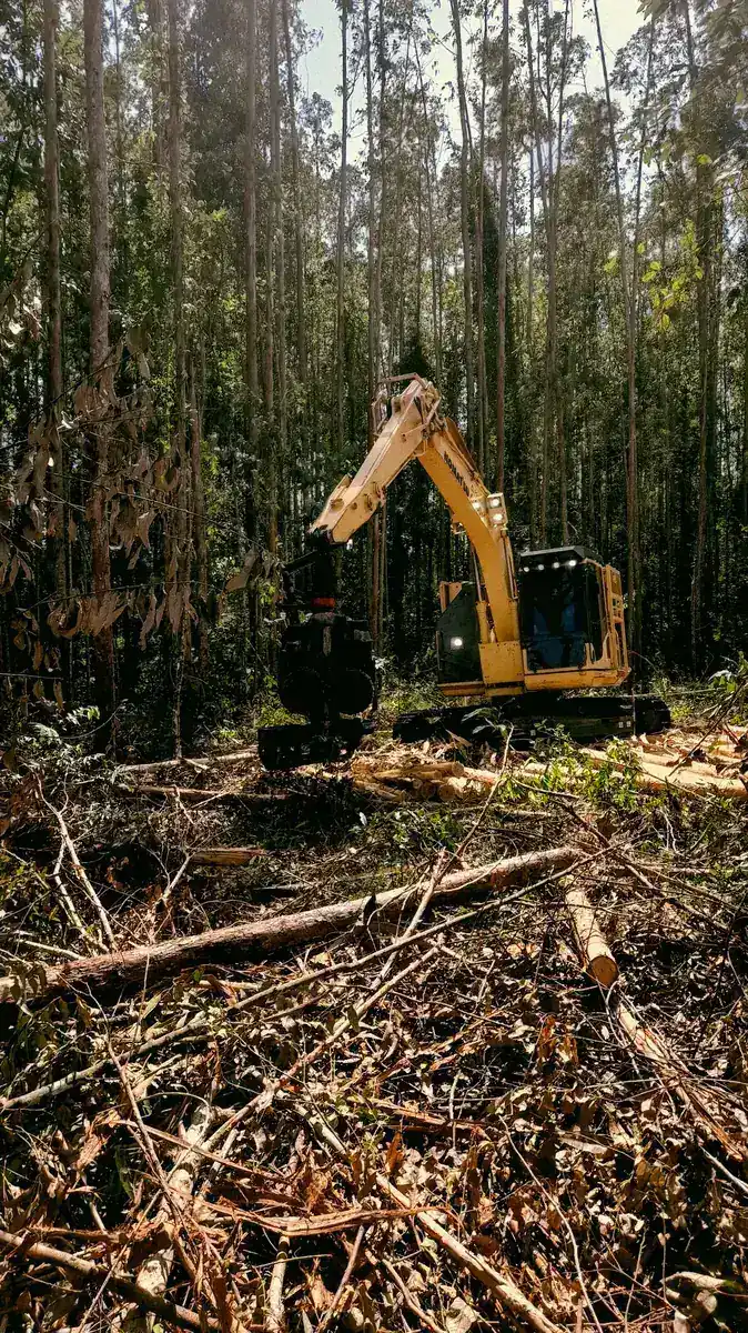 Tracked excavator working at a wood line with a heaped windrow of cleared trunks and brush in front of it