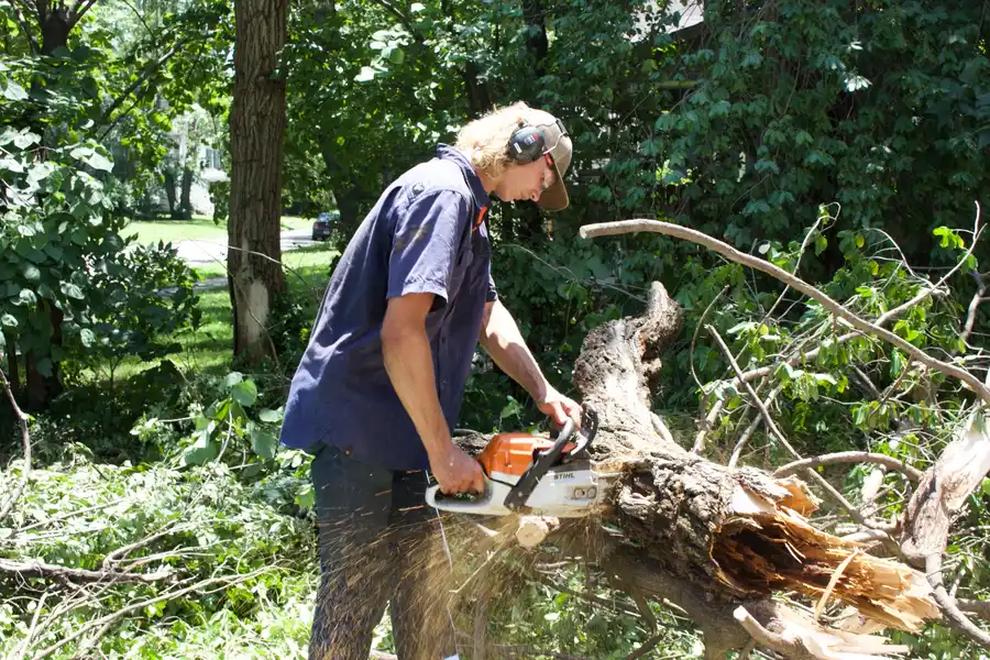 Kindred Tree Services crew removing a large limb section by section on a Kansas property