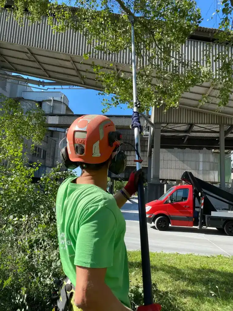 Worker in a helmet reaching up with a pole saw to make a reduction cut in a canopy