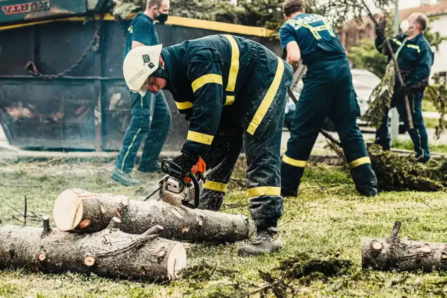 Crew in protective coveralls bucking a downed trunk into rounds while ground workers drag brush clear